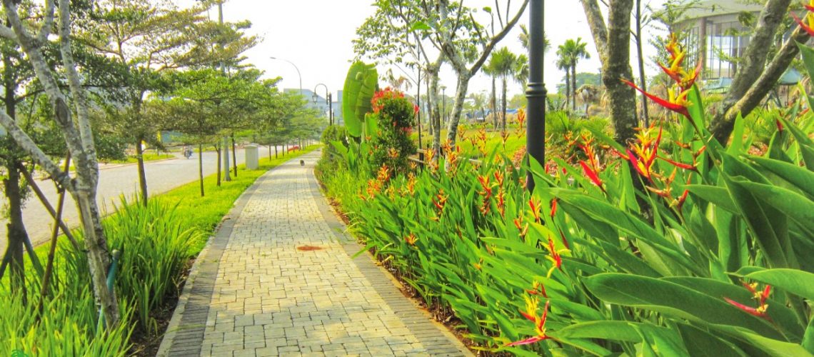 Bunga Indah: Menghiasi Jalan-Jalan Cilacap dengan Kehangatan